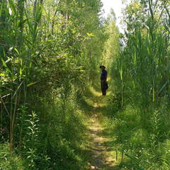 IMG 20180712 114606839