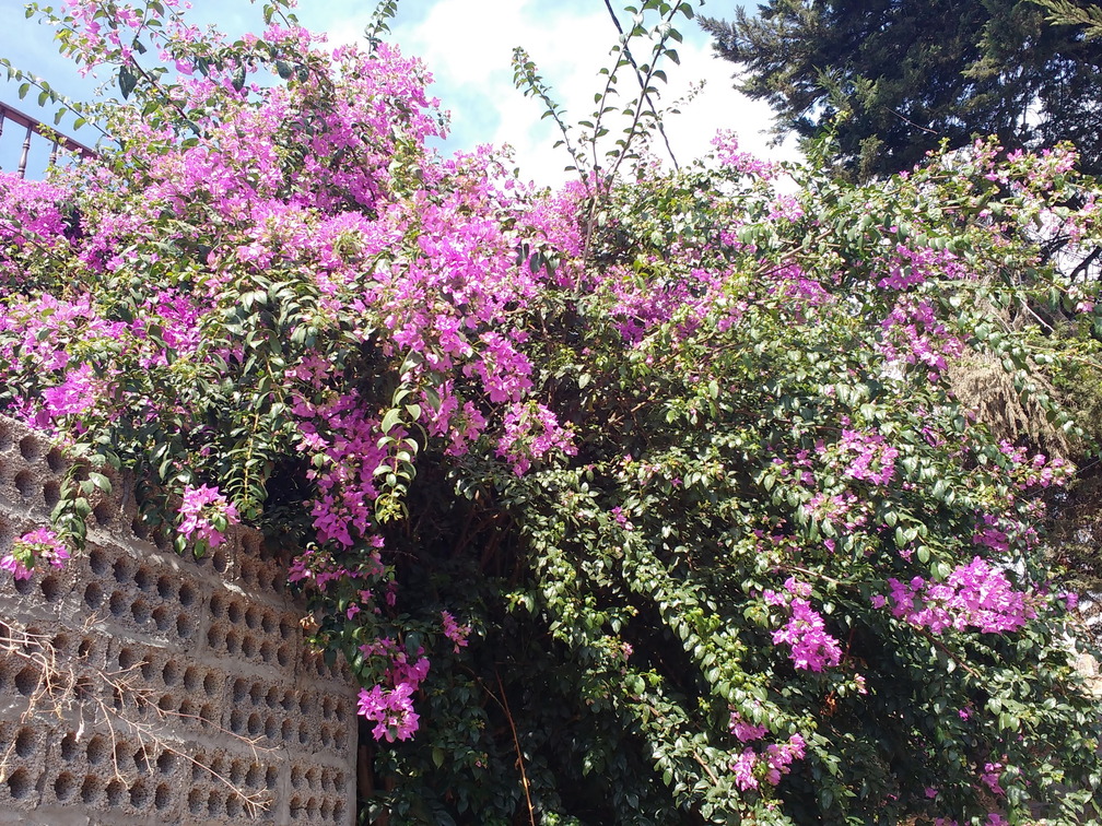 IMG 20171018 155719131