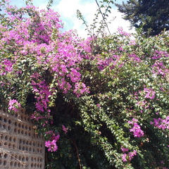 IMG 20171018 155719131