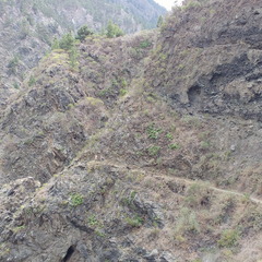 IMG 20171019 152756734