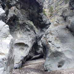 IMG 20171019 155218819