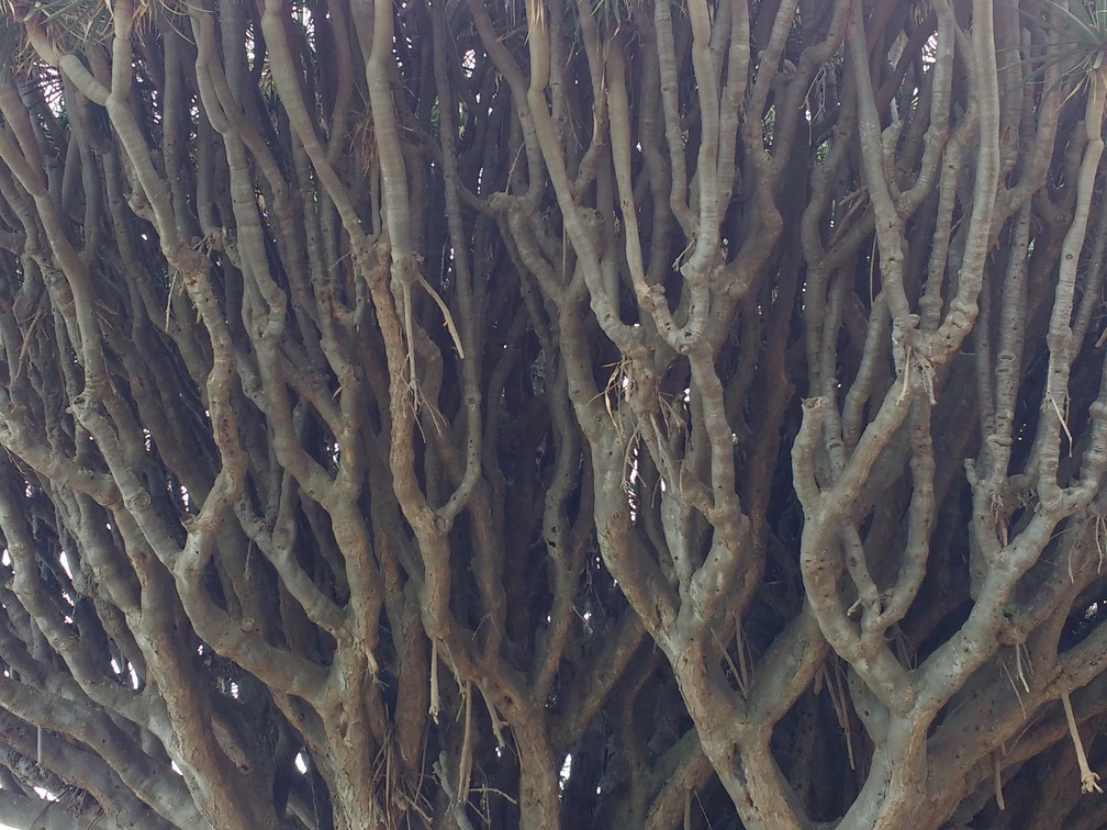 IMG 20171020 111102037