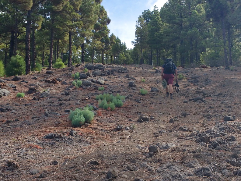 IMG 20171021 114023782