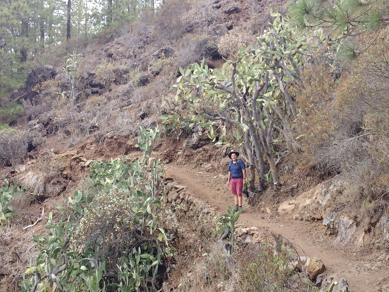 IMG 20171021 135810225