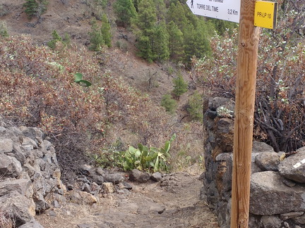 IMG 20171021 143007921