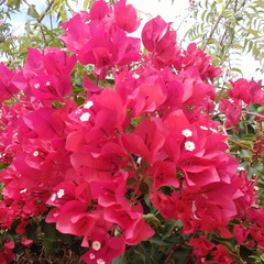 IMG 20171021 144025757