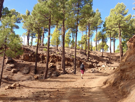 IMG 20171022 112328824