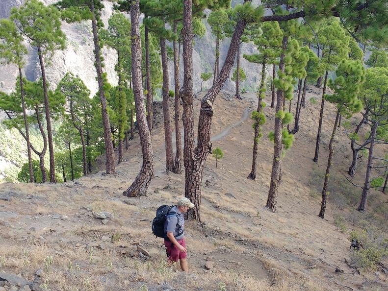 IMG 20171022 144643581