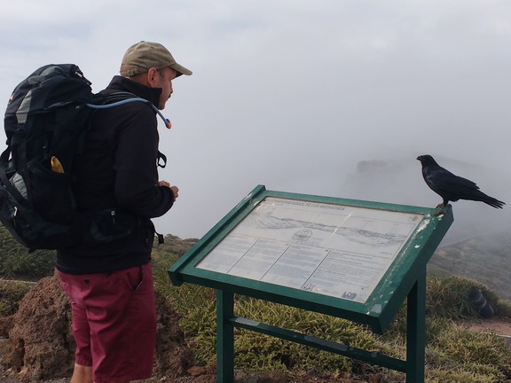 IMG 20171023 113421365