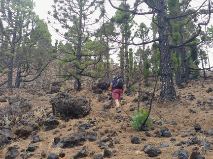 IMG 20171026 112946919