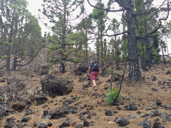 IMG 20171026 112946919