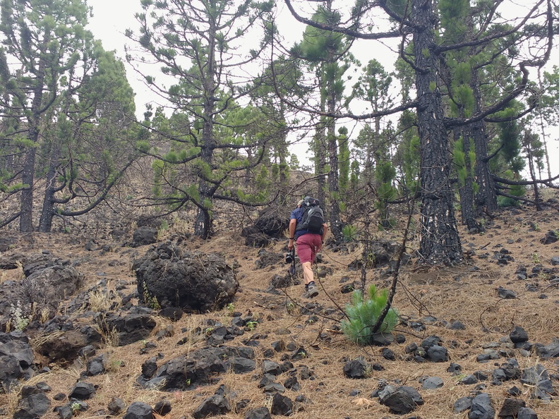 IMG 20171026 112946919