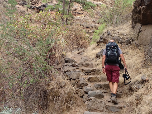 IMG 20171028 110550448